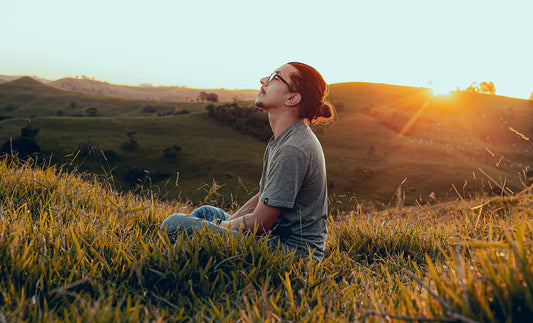 Is kanna an adaptogen?